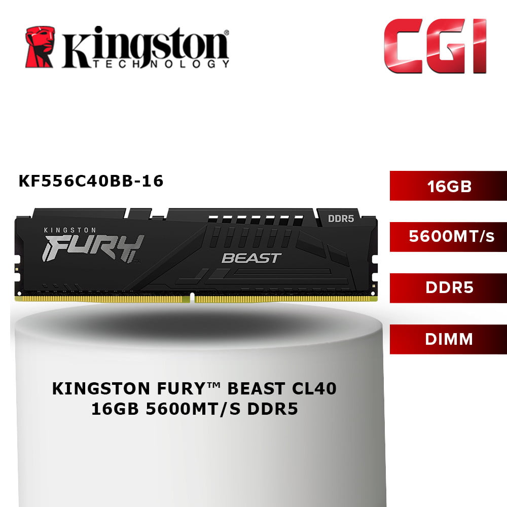 Kingston FURY Beast 16GB DDR5-5600 CL40 288-Pin DIMM - KF556C40BB-16