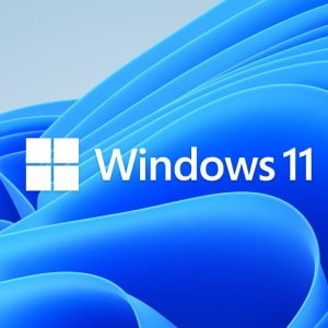 Microsoft Windows 11 Home English 64-bit - DVD Version (KW9-00632)