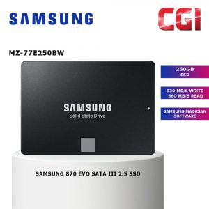 Samsung 870 EVO SATA III 2.5 250GB SSD (MZ-77E250BW)