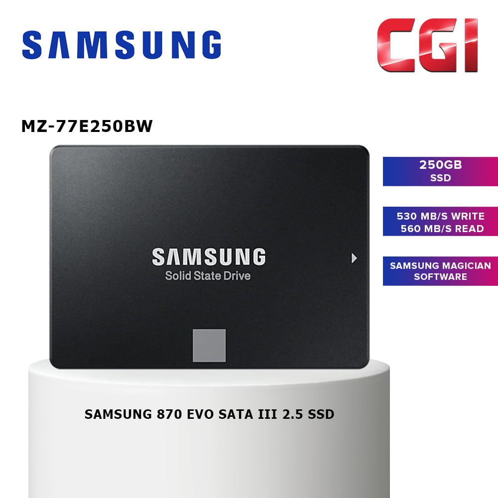 Samsung 870 EVO SATA III 2.5 250GB SSD (MZ-77E250BW)
