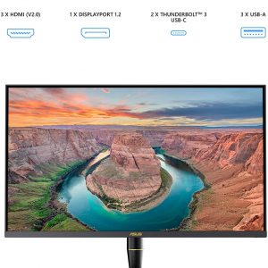 Asus ProArt 32" PA32UCX-PK 4K HDR IPS ThunderBolt 3 USB-C Mini LED Professional Monitor