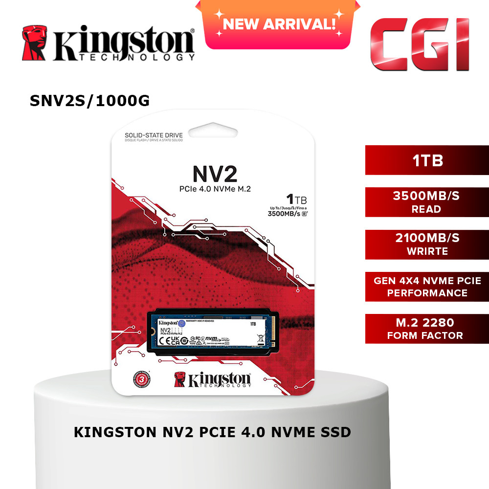 Kingston 250GB NV2 PCIe 4.0 NVMe SSD - SNV2S/1000G