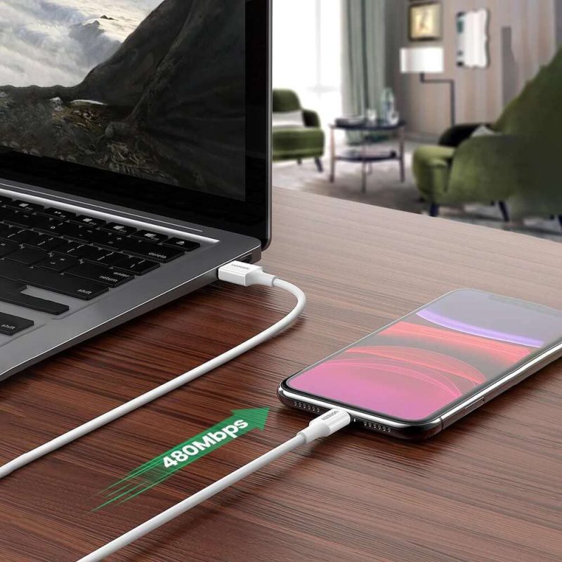 Ugreen (US155) 20728 USB A to Lighting Sync & Charging Cable (1M) - White