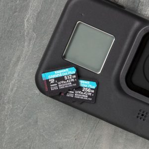Kingston Canvas Go Plus 64GB Micro SD Card - SDCG3/64GB
