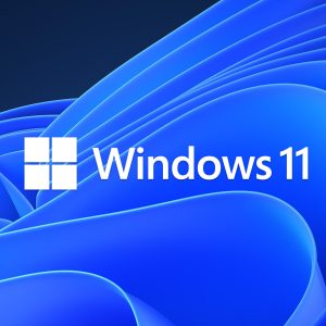 Microsoft Windows 11 Pro 32/64BIT ORY?OEI Medialess (QPF-00425)