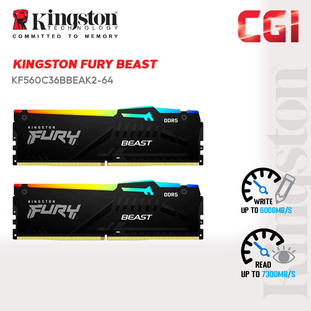 Kingston 54GB (2X32GB) DDR5 6000MT/s CL36 288 Pin DIMM FURY Beast Black RGB EXPO (Kit of 2) - KF560C36BBEAK2/64