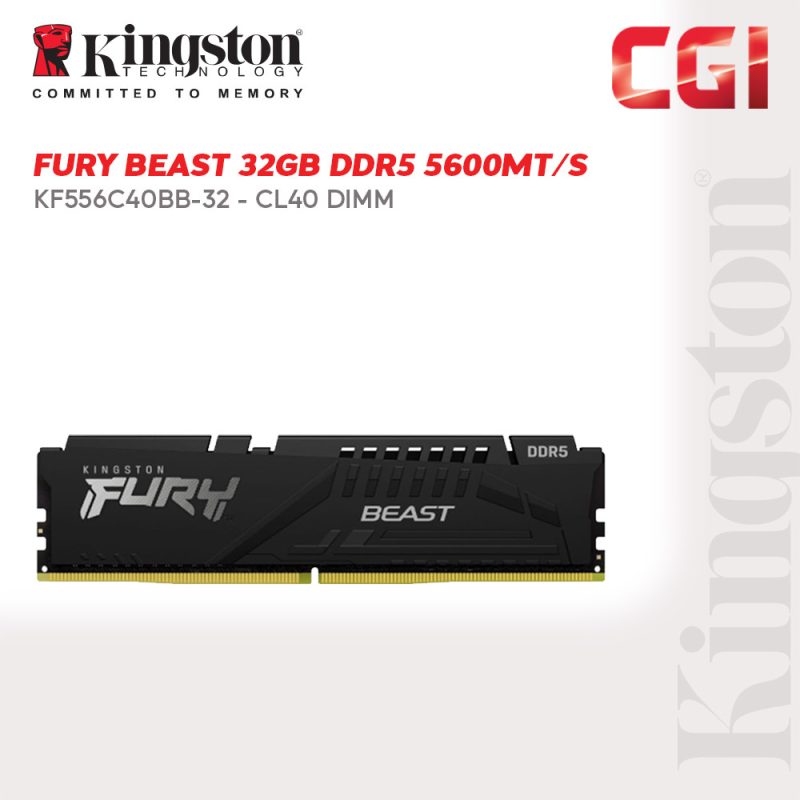 Kingston FURY Beast 32B DDR5-5600 CL40 288-Pin DIMM - KF556C40BB-32
