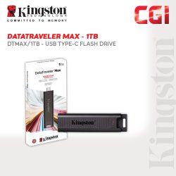 Kingston DataTraveler Max USB 3.2 Gen 2 Flash Drive (DTMAX/1TB)