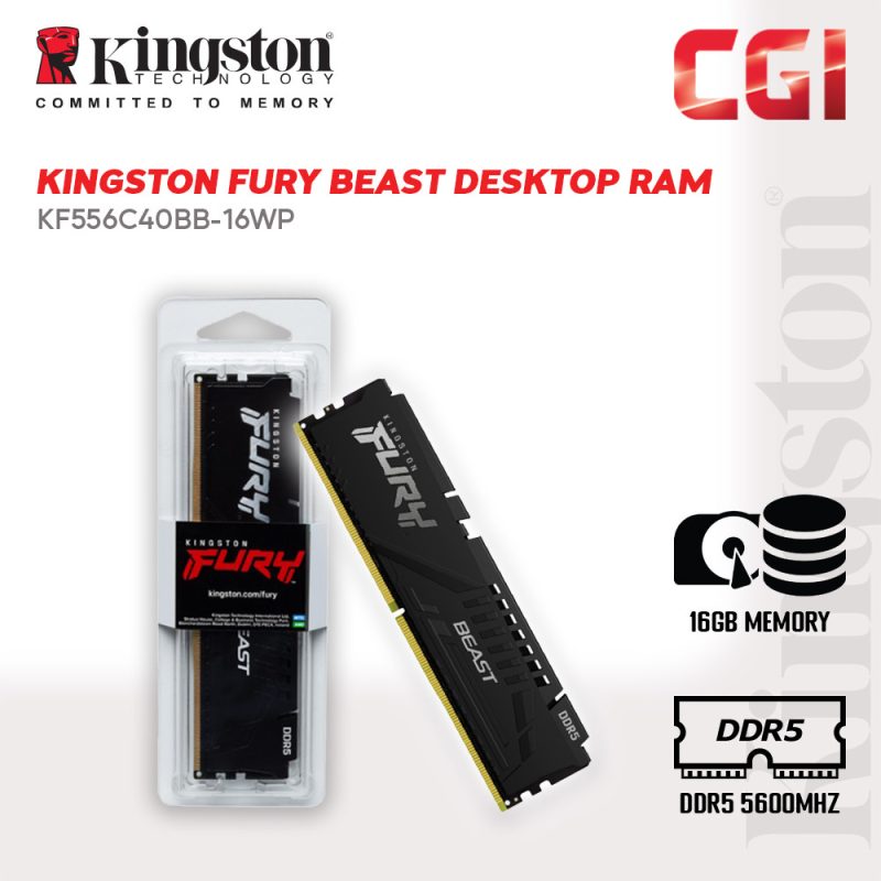 Kingston 16GB Fury Beast DDR5-5600Mhz DIMM Memory RAM - KF556C40BB-16WP
